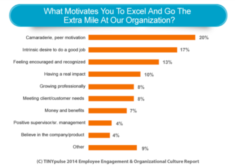 What Motivates You To Excel And Go The Extra Mile At Our Organization